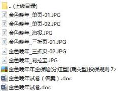 工银安盛人寿金色晚年单页海报三折页易拉宝投保规则试题.rar