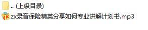 录音保险精英分享如何专业讲解计划书.rar
