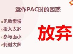 解讀PAC系統(tǒng)的形與魂保險客戶管理技巧74頁.ppt