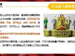 案例解析大保单大作用13页.ppt