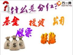 分红利益—季度销售分红年终管理分红解析21页.ppt
