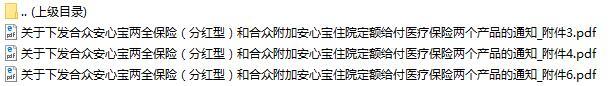 合众附加安心宝住院定额给付医疗保险条款费率表投保规则.rar