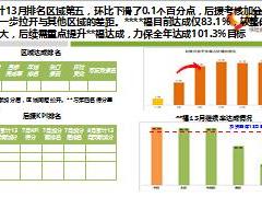 2016年续期挑战专项汇报21页.ppt