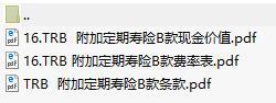 建信人寿附加定期寿险B款条款费率表现金价值表.rar
