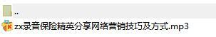 录音保险精英分享网络营销技巧及方式.rar