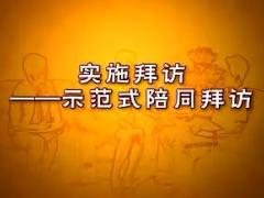 视频实战演练辅导方法实施拜访示范式陪同拜访.rar