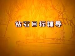 视频实战演练心态辅导钻石目标辅导.rar