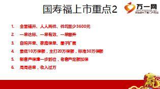 国寿福上市销售策略22页.ppt