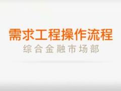 视频客户需求工程操作流程演示.rar
