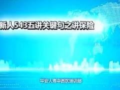 视频培训课程新人讲保险人生规划之T形图.rar