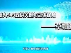视频培训课程新人讲保险人生规划之草帽图.rar