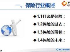 新时代背景下的保险业新华人寿公司介绍88页.ppt