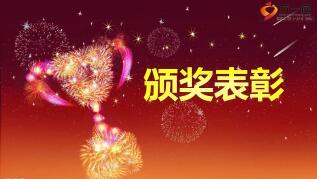 保险公司小高峰表彰暨文艺汇演流程片29页.ppt