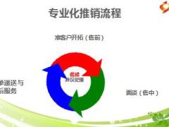 保險(xiǎn)銷(xiāo)售培訓(xùn)課件11促成技巧含備注22頁(yè).ppt