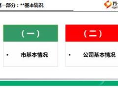 保險公司分公司個險隊伍建設(shè)匯報材料104頁.ppt