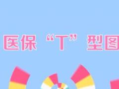 视频保险销售技巧画图说保险医保T型图商保与社保的区别.rar