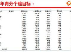 2017保险公司客户大回访操作企划案新华版37页.ppt