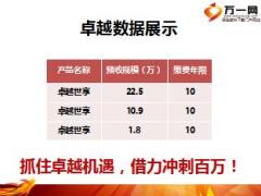 太平卓越世享产品销售经验分享18页.ppt