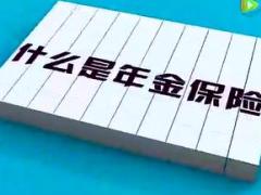 视频培训课程什么是年金保险.rar