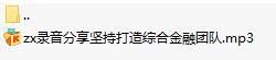 录音分享坚持打造综合金融团队.rar