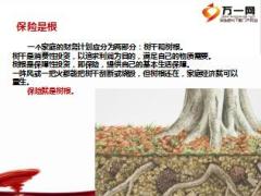 早會(huì)專題保險(xiǎn)是什么15頁.ppt