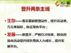 优秀总监晋升分享常态经营抓基础紧跟节奏抢机遇14页.ppt