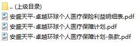 安盛天平卓越环球个人医疗保险条款利益明细表.rar