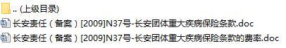 长安责任保险长安团体重大疾病保险条款费率表.rar