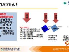 保险公司电销渠道标准组建设UM会议经营技巧38页.ppt