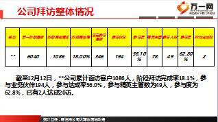 保險公司客戶經(jīng)營大拜訪活動職場訓(xùn)練階段匯報材料13頁.ppt