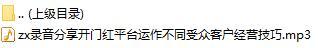 录音分享开门红平台运作不同受众客户经营技巧.rar
