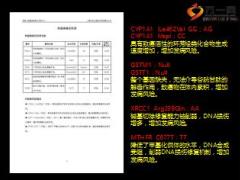 基因检测报告详细解读79页.ppt
