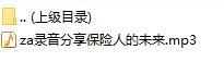 录音分享保险人的未来.rar