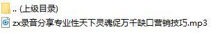 录音分享专业性天下灵魂促万千缺口营销技巧.rar