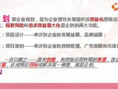 保险营销企划案的制作与解读31页.ppt