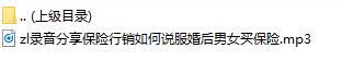 录音分享保险行销如何说服婚后男女买保险.rar