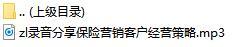 录音分享保险营销客户经营策略.rar
