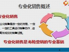 岗前培训6专业化销售流程概述15页.ppt