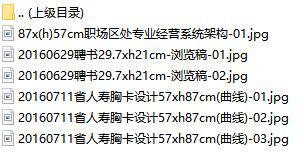 保險公司功能組組建支持工具模板國壽版.rar