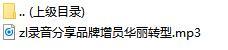 录音分享品牌增员华丽转型.rar