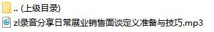 录音分享日常展业销售面谈定义准备与技巧.rar
