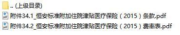 恒安标准附加住院津贴医疗保险条款费率表.rar