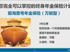 新人衔接培训课程16前海壹号产品介绍截图19页.ppt