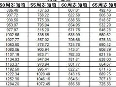 恒安标准金福来养老年金保险分红型条款费率.rar