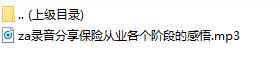 录音分享保险从业各个阶段的感悟.rar