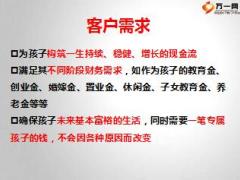 太平盛世龙腾万元件销售逻辑26页.ppt