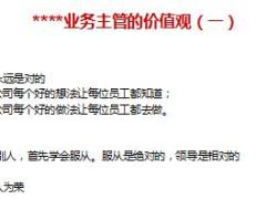 成为保险业务主管的条件和价值16页.ppt