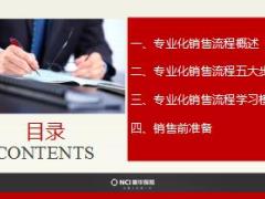保险专业化销售流程概述25页.ppt