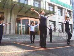视频国寿财险手语舞晨操梦想飞翔.rar