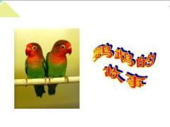 主管培训激励技巧与亲情管理含备注30页.ppt